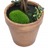 Plantas Bolas de Buxo Artificiais C/ Vasos 2 pcs 33 cm Verde