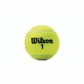 Bolas de Ténis Wilson Championship Xd (3 Pcs)