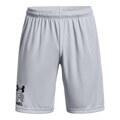 Calções de Desporto para Homem Under Armour Graphic Cinzento L