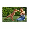 Dinossauro Mattel Jurassic World - Carnotaurus Toro Super Colossal 90 cm