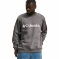 Polar sem Capuz Homem Columbia Logo Fleece Crew Cinzento Escuro L