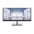 Monitor Lenovo L29w-30 29" LED Ips 50-60 Hz