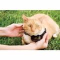 Coleira para Gato Petsafe Prf-3004xw-20