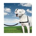 Arnês para Animais Domésticos Petsafe Easy Walk Preto Medianav (m)