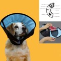 Colar Isabelino para Cães Kvp Calmer Multicolor (20-28 cm)