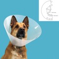 Colar Isabelino para Cães Kvp Quick Fit Transparente (27-31 cm)