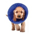 Colar Isabelino para Cães Kvp Ez Soft Azul (14-31 cm)