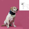 Coleira Cervical para Cães Kvp Preto (6-28 cm)