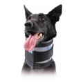 Coleira Cervical para Cães Kvp Preto (10-41 cm)