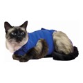 T-shirt de Recuperação de Animais Kvp Azul (21-24 cm)