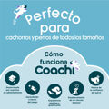 Brinquedo de Treino Coachi Chase & Treat Azul