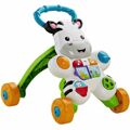 Andarilho Fisher Price DLD96 Multicolor