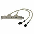 Cabo USB Startech Usbplate USB a Idc