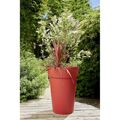 Vaso Eda Tuscan Redondo ø 46 X 65 cm Vermelho Polipropileno