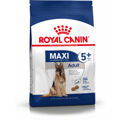 Penso Royal Canin Maxi Adult 5+ Adulto Arroz Pássaros 15 kg