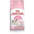 Comida para Gato Royal Canin Mother & Babycat Adulto Frango Pássaros 400 G