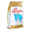 Penso Royal Canin Golden Retriever Puppy Cachorro/júnior Arroz Pássaros 3 kg