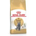 Comida para Gato Royal Canin British Shorthair Adulto Frango Arroz Pássaros 2 kg