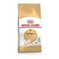 Comida para Gato Royal Canin Sphynx Adulto Frango 2 kg