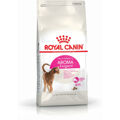 Comida para Gato Royal Canin Feline Preference Aroma Exigent