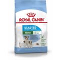 Penso Royal Canin Starter Mother And Babydog Adulto Pássaros 1 kg