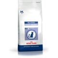 Comida para Gato Royal Canin 3182550799638 Adulto 1,5 kg