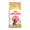 Comida para Gato Royal Canin Maine Coon Kitten