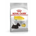 Penso Royal Canin Mini Dermacomfort Adulto Vitela Vegetal 3 kg