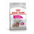 Penso Royal Canin Mini Exigent Adulto Pássaros 3 kg