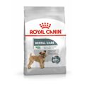 Penso Royal Canin Adulto Pássaros 3 kg