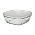 Lancheira Freshbox (2 L) (20 X 20 X 8 cm)