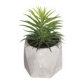 Planta Decorativa Atmosphera 7 X 14 cm Pvc