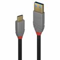 Cabo USB a para USB C Lindy 36911 Preto Antracite