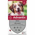 Pipeta para Cães Advantix 10-25 kg 6 Unidades