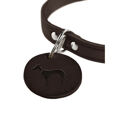 Coleira para Cães Hunter Aalborg Chocolate S/m 37-43 cm