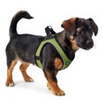 Arnês para Cães Hunter Hilo-comfort Lima Tamanho S/m (48-55 cm)