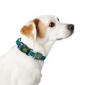 Coleira para Cães Hunter Vario Basic Fios Turquoise Turquesa Tamanho S (30-43 cm)