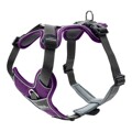 Arnês para Cães Hunter Divo 34-47 cm Roxo Tamanho XS