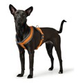 Arnês para Cães Hunter London Comfort Xs-s 39-47 cm Laranja