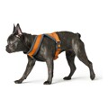 Arnês para Cães Hunter London Comfort 48-56 cm Laranja Tamanho S/m