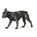 Arnês para Cães Hunter London Comfort 52-62 cm Castanho Tamanho S/m