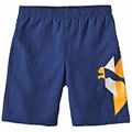 Calções de Desporto Infantis Puma Td Wove Azul 7-8 Anos