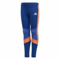 Leggings de Desporto Infantis Adidas Tight Azul 3-4 Anos