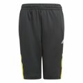 Calças Desportivas Infantis Adidas Predator Inspired Preto 7-8 Anos