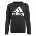 Polar sem Capuz Criança Adidas Designed To Move Big Logo Preto 13-14 Anos