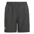 Calções de Desporto Infantis Adidas Club Preto 5-6 Anos