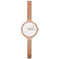 Relógio Feminino Skagen Gitte Lille (ø 22 mm)