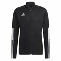 Casaco de Desporto para Homem Adidas Tiro Essentials Preto S