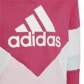 Camisola com Capuz Menina Adidas Colorblock 7-8 Anos