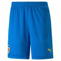 Calções de Desporto Puma Valencia Cf Third Kit 22/23 Azul Homem M